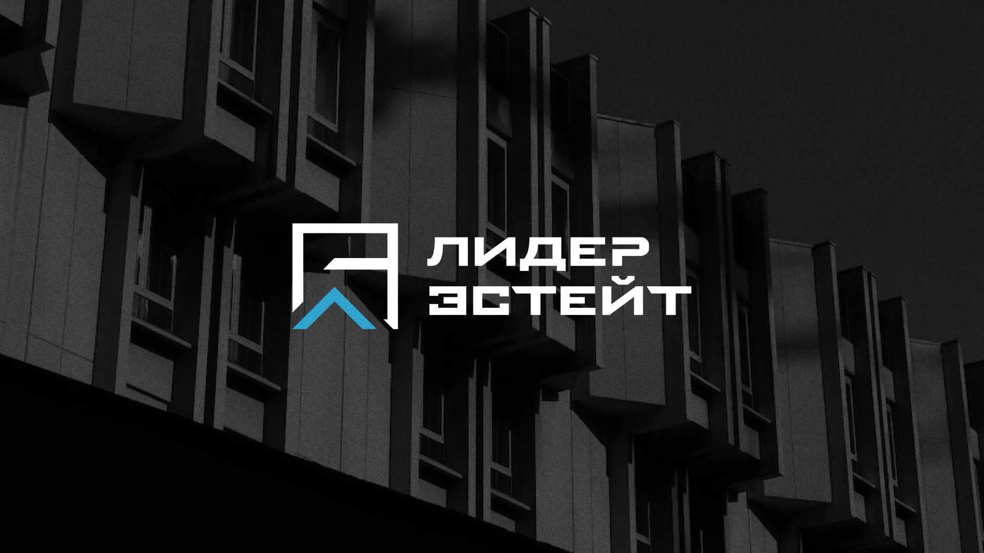Разработка логотипа агентства недвижимости «Лидер Эстейт» в Грозном